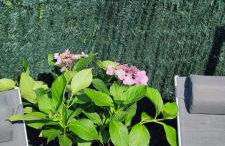 Apartamento Quérote Fisterra1 - Foto 47