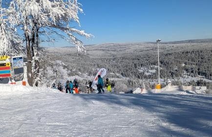 Apartmán Almberg - Mitterdorf - Mitterfirmiansrout - Foto 30