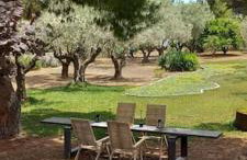 Coralia's beachfront sea view studio - Foto 9