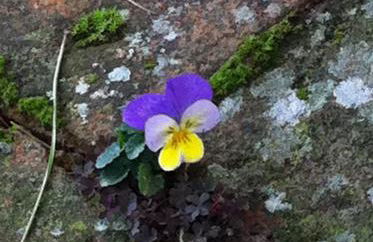 Il Casalone - Foto 46