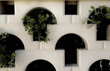 Mirus Sole - Foto 12