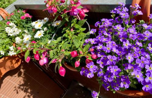 Schöne Wohnung in der Altstadt - Foto 40