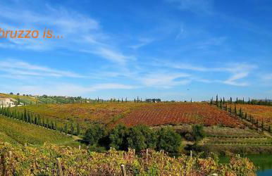 Characteristic restored farmhouse with 360 degree views - Photo 57