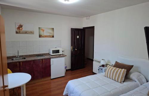 Apartahotel portal de leon - Photo 16