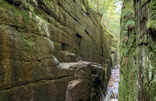 FV43 Bretton Woods single level home with AC on golf course - Foto 37