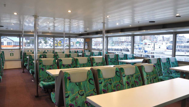 Pingüinera de isla Martillo + Paseo en barco por el canal Beagle - Foto 5