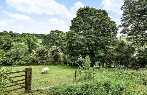 Lower Trengale Farm Holiday Cottages - Photo 13