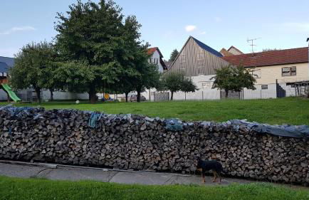 Ferienwohnung/Monteurzimmer auf dem Bauernhof - Foto 39