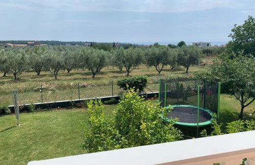 Apartments Rosa - Foto 8