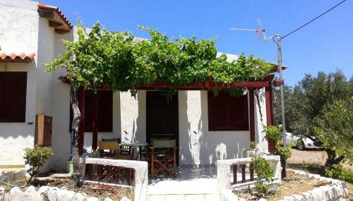 Sunrise Apartments - Foto 2, Garden