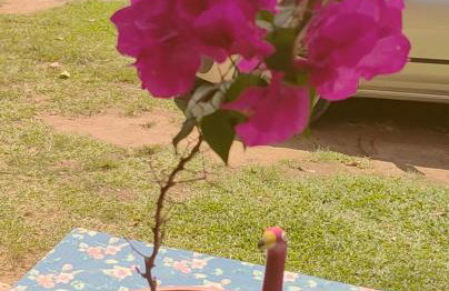 Rancho Esperança, pouso e comida a lenha - Foto 53