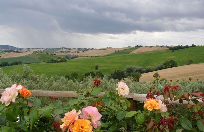 Al Crepuscolo Agriturismo - Foto 37