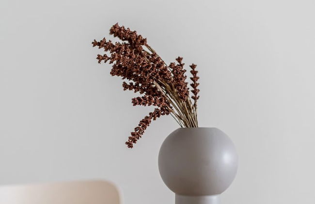 Stylish New 1BR Home with Sauna, Hosts 4 Guests - Foto 3