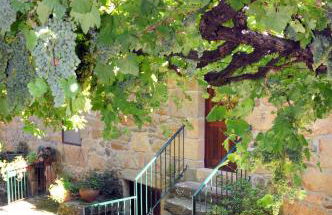 Quinta Das Escomoeiras - Foto 60