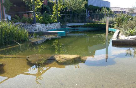 Villa Suzi - Family Farm Stay with Donkeys, Pool and Sea View near Rijeka - Photo 28