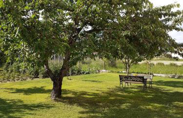 Chrysafis Apartments - Photo 8