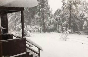 Uncle Grizz's Cabin...get intouch with nature - Foto 38