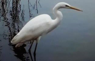 KASTORIA DENDROCHORI Retreat & Rest - Photo 24