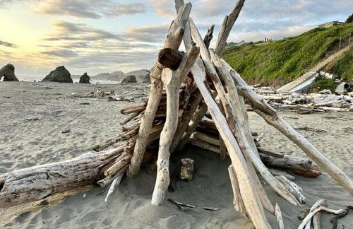 Sand Dollar Shore - Foto 37