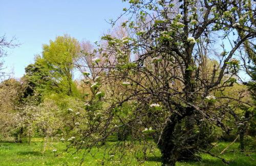 gite d'Albertine - Foto 11