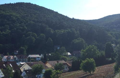 Ferienwohnungen Tauscher - Foto 1