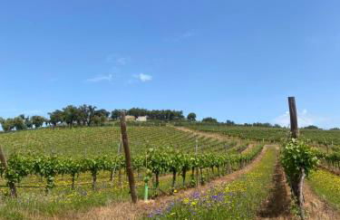 Monte da Esperança - Foto 5