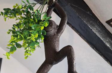 Jungle Cosy - Foto 50