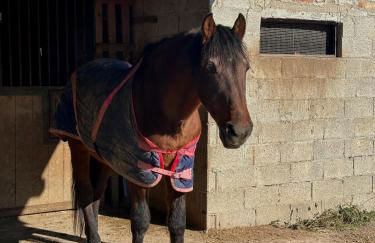 Ca 'Franzo - Foto 18