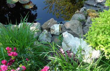 Apartment am Lühedeich - Foto 27