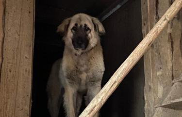 Gasthof zur Sägemühle - Foto 20