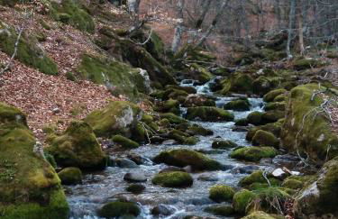 Casa Dulcinea en Brañosera - Foto 36