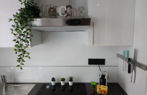 Appart Cosy Brest (Les 4 moulins) - Photo 16