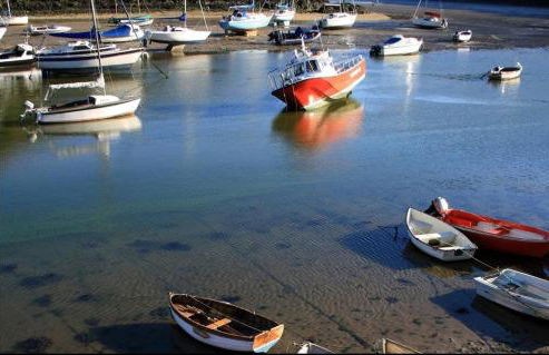 Calebs Cottage- Solva harbour - Photo 55
