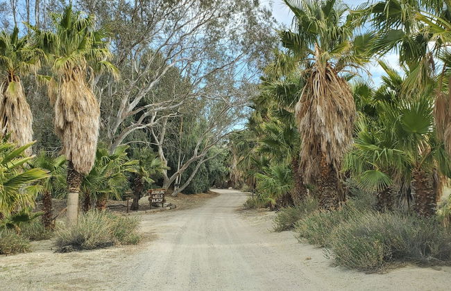 Bubbling Wells Oasis - Foto 36