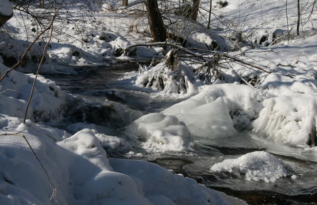 Historisches Ferienhaus im Schwarzwald - Foto 26