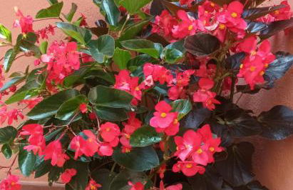 vistas y relax 126m privados con piscina No cocina - Foto 30