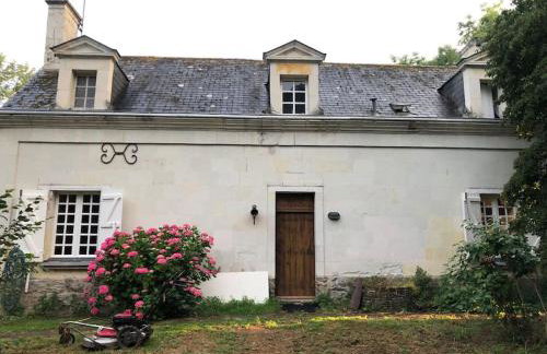 Huis op een eiland in de Loire - Photo 16