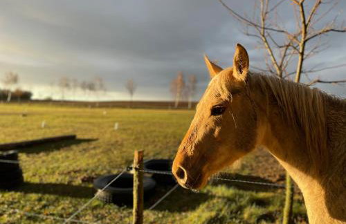 JZ Guest Ranch - Foto 17