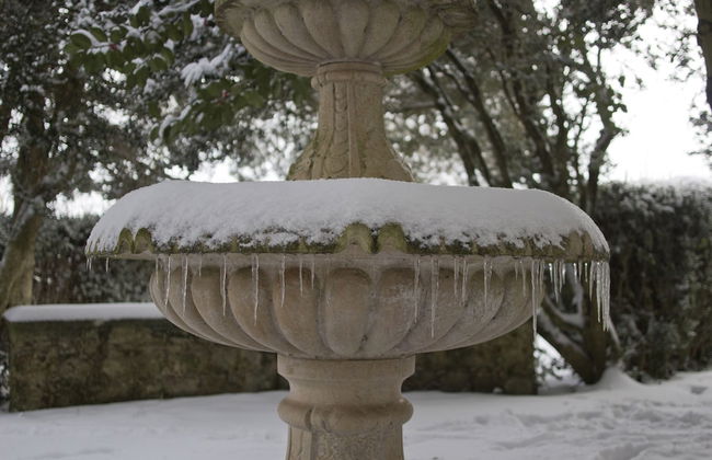 I Templari - Photo 48