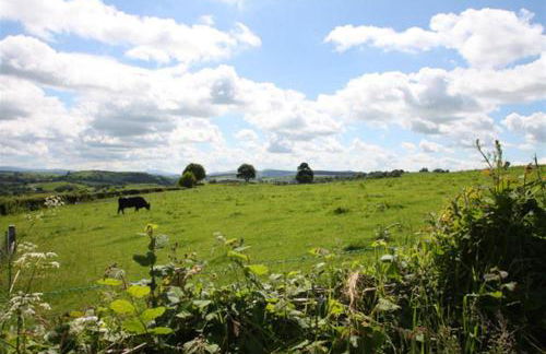 1 Bed in Corwen oc-fl010 - Photo 16