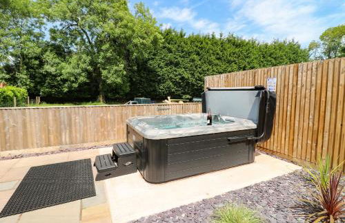 Pipistrelle - Foto 15