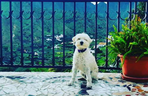 Finca Lomo Grande - Foto 60