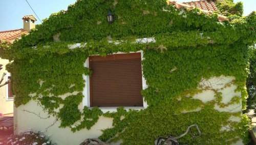 Κτήμα Κουρλή - Foto 5, Garden view