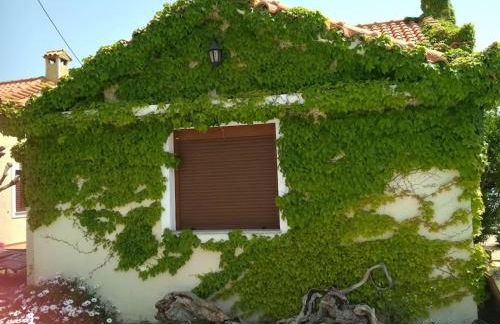 Κτήμα Κουρλή - Photo 5