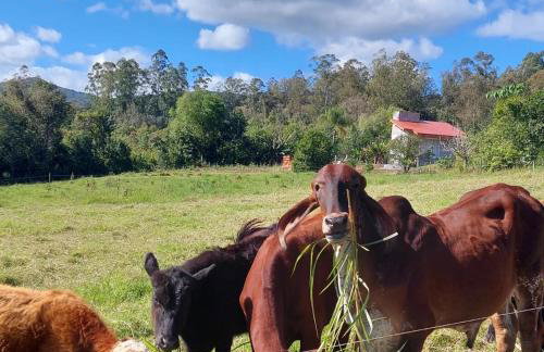 Refúgio da Serra - Foto 13