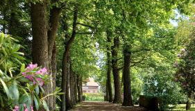 De Tuun - Landhaus Lübbertsfehn - Foto 3