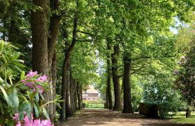 De Tuun - Landhaus Lübbertsfehn - Foto 3