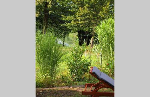 ČAROBNA ŠUMA ***(magic forest) - Foto 25