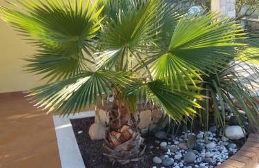 VILLE MONDO a 350 metri dalla spiaggia - Foto 26