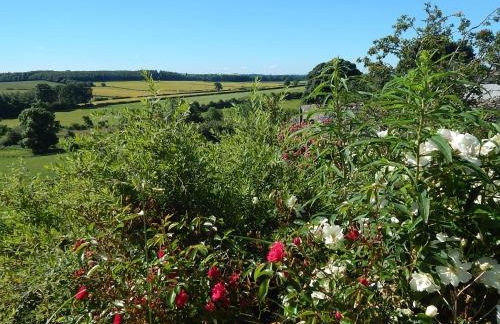 Garden Bank Cottage - Foto 24